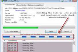 Internet Download Manager IDM 6