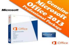 MS Office 2013